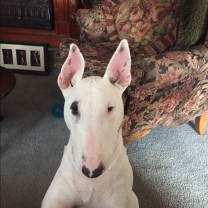 Meet your Posher, Donna